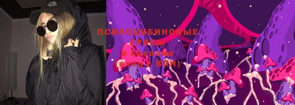 ешки Алексеевка
