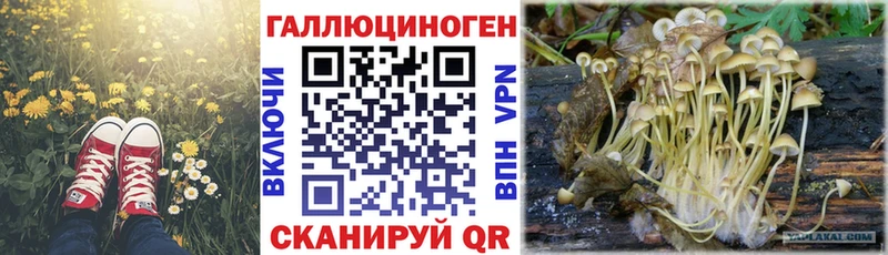 Галлюциногенные грибы ЛСД  Данилов 